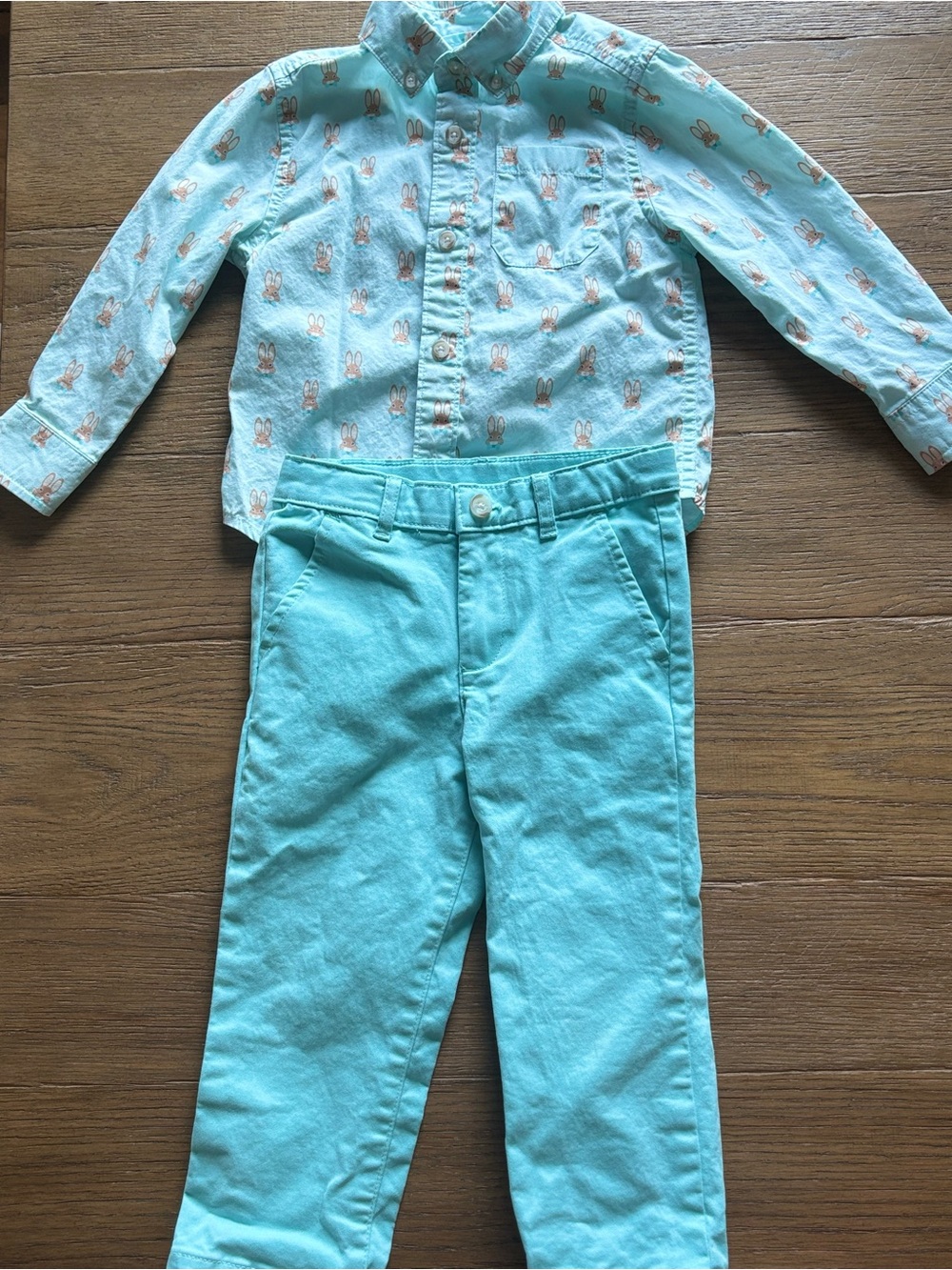Gymboree Mint Green Bunny Print Button-Up Shirt and Chino Pants